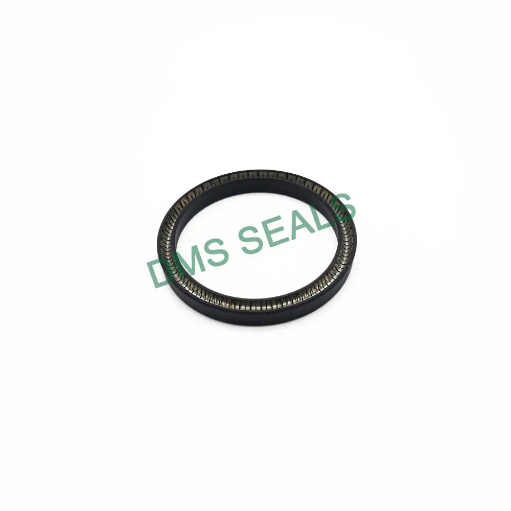High Quality Good Performance Custom-Made Spring Energized Seal-T01 1