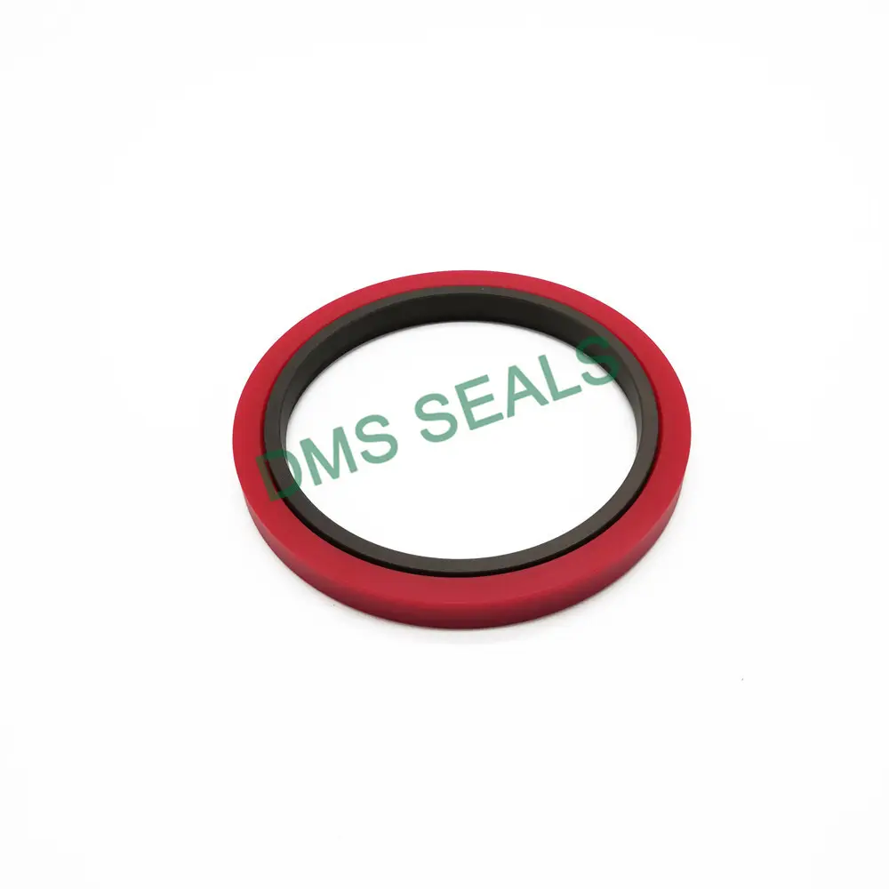 Rubber Seal Design 0-60MPa by DMS Seals 2