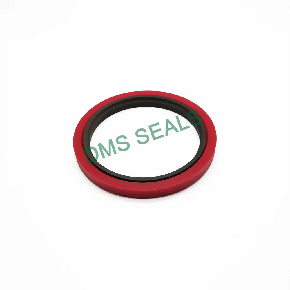 Professional Design Standard or Nonstandard PTFE Rod Seals Gsj-W with NBR/FKM O Ring 1