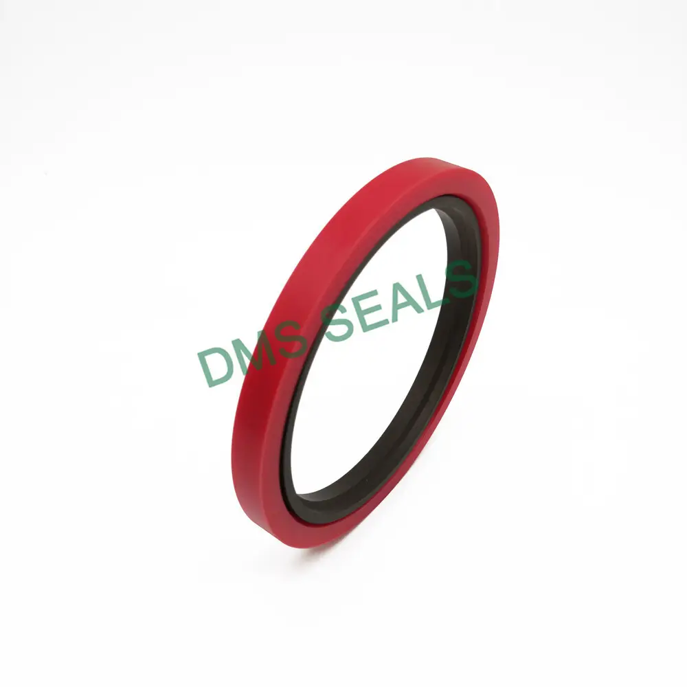 Rubber Seal Design 0-60MPa by DMS Seals 4