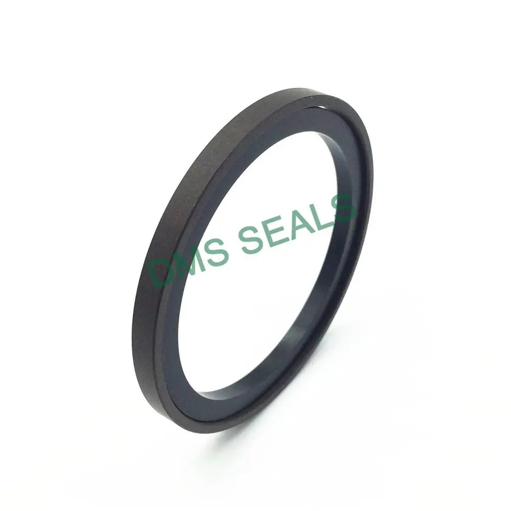 Top Piston Seals 2