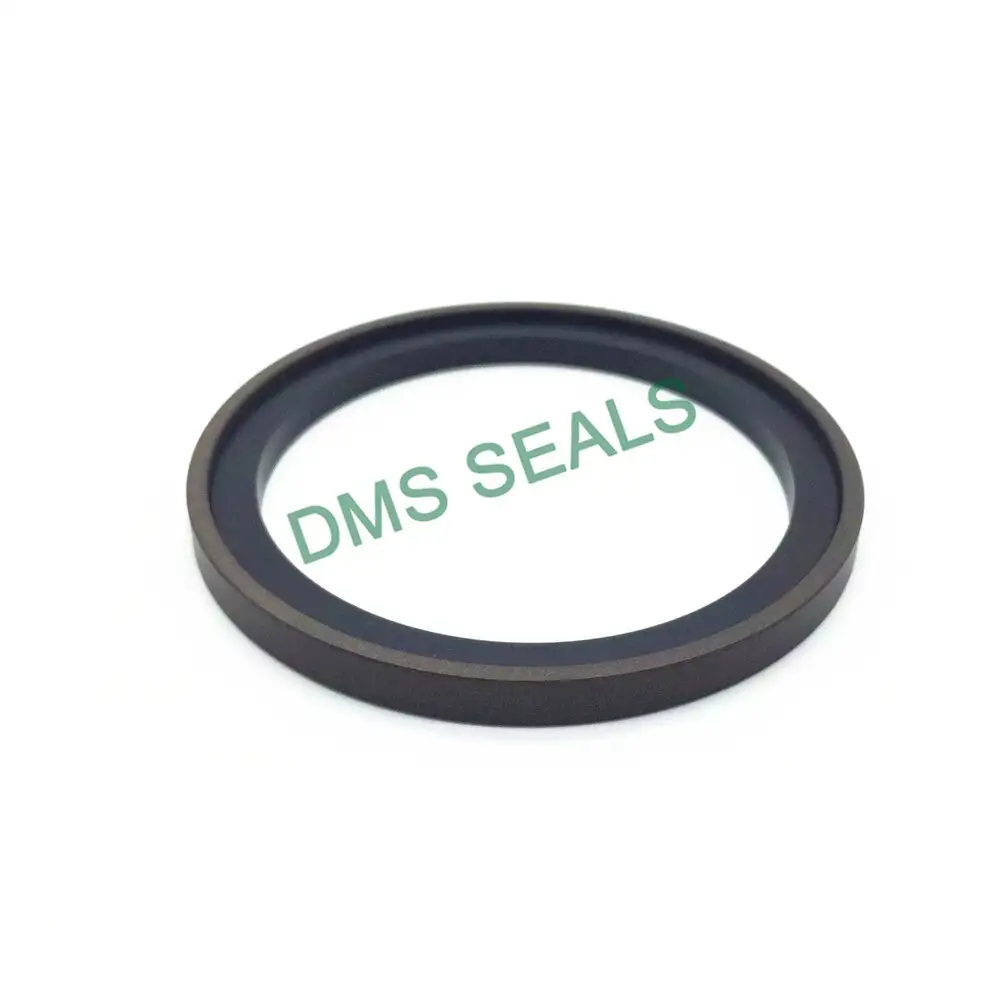 Strong Wear Resistance Excavator Cylinder Seals Spg 1