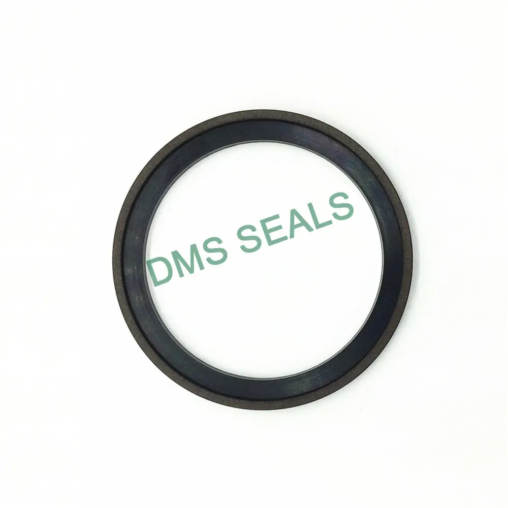Top Piston Seals 6