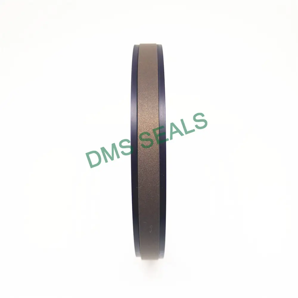 Hydraulic Piston Seals Suppliers Flameretardantliquid by DMS Seals 3