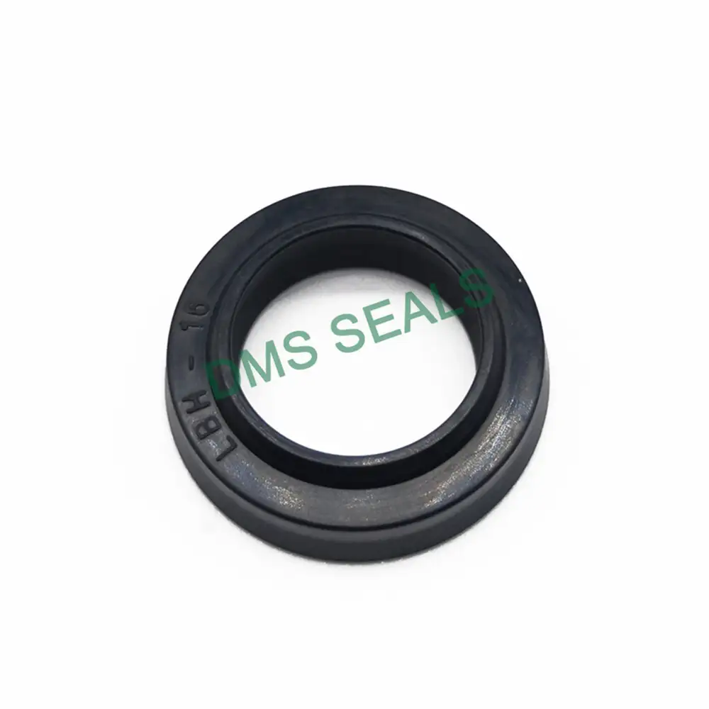 Hydraulic Valve FKM Shaft Seals Type Lbh 1