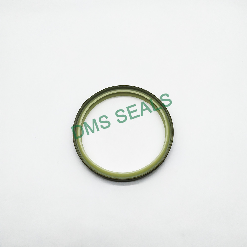 Factory Direct PU Dust Wiper Seals Dkbi with Metal Case Dkbi 2
