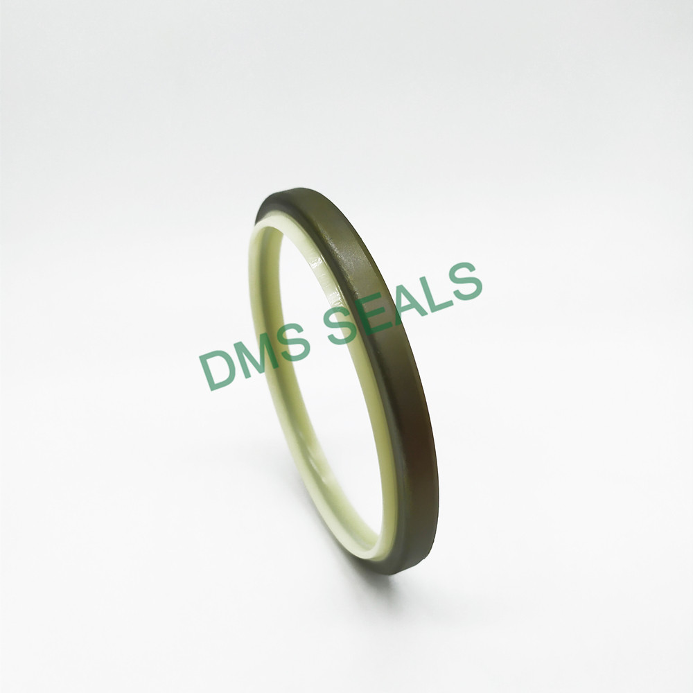 Factory Direct PU Dust Wiper Seals Dkbi with Metal Case Dkbi 5
