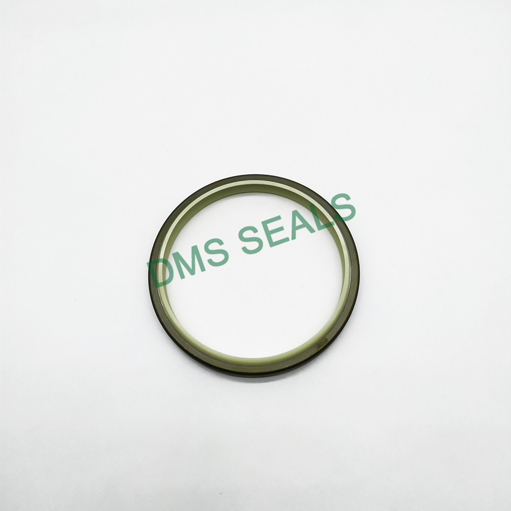Factory Direct PU Dust Wiper Seals Dkbi with Metal Case Dkbi 4