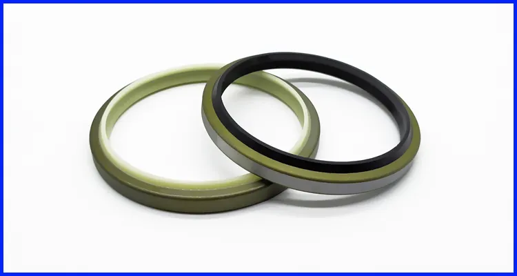 Buy lip seal vs mechanical seal manufacturer 2