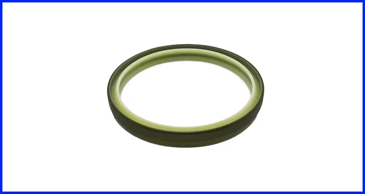 Buy lip seal vs mechanical seal manufacturer 3