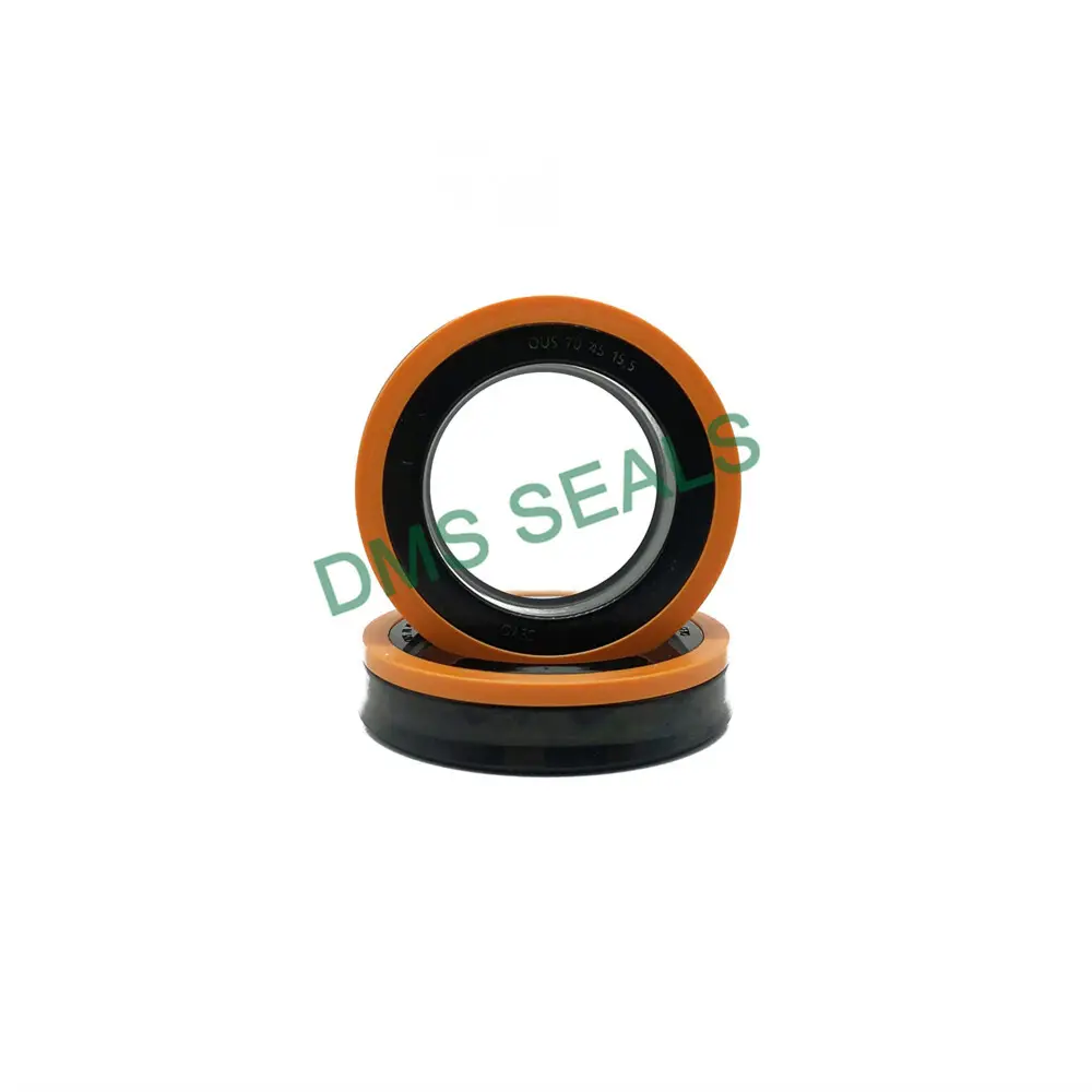 Customized Rubber Oil Seal Top Brand 5