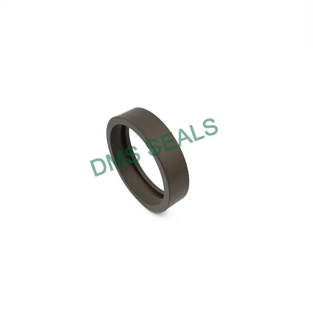 PTFE/PA/POM Hole Guide Sleeve Seal Dfa for Piston Rod Seal 1