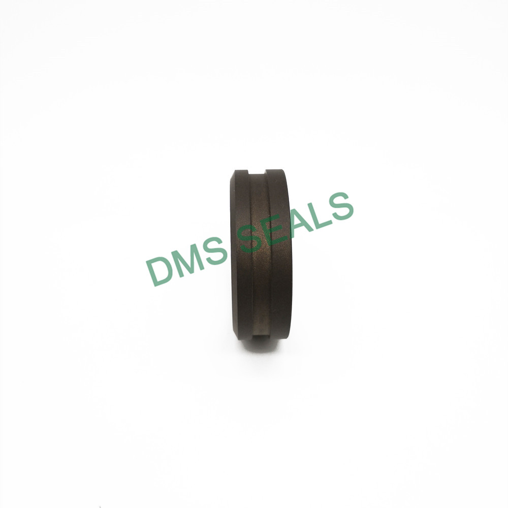 Dfai Ptfe Seal Ring Guide Ring with Scraping Lip for Shaft | Dms Seals