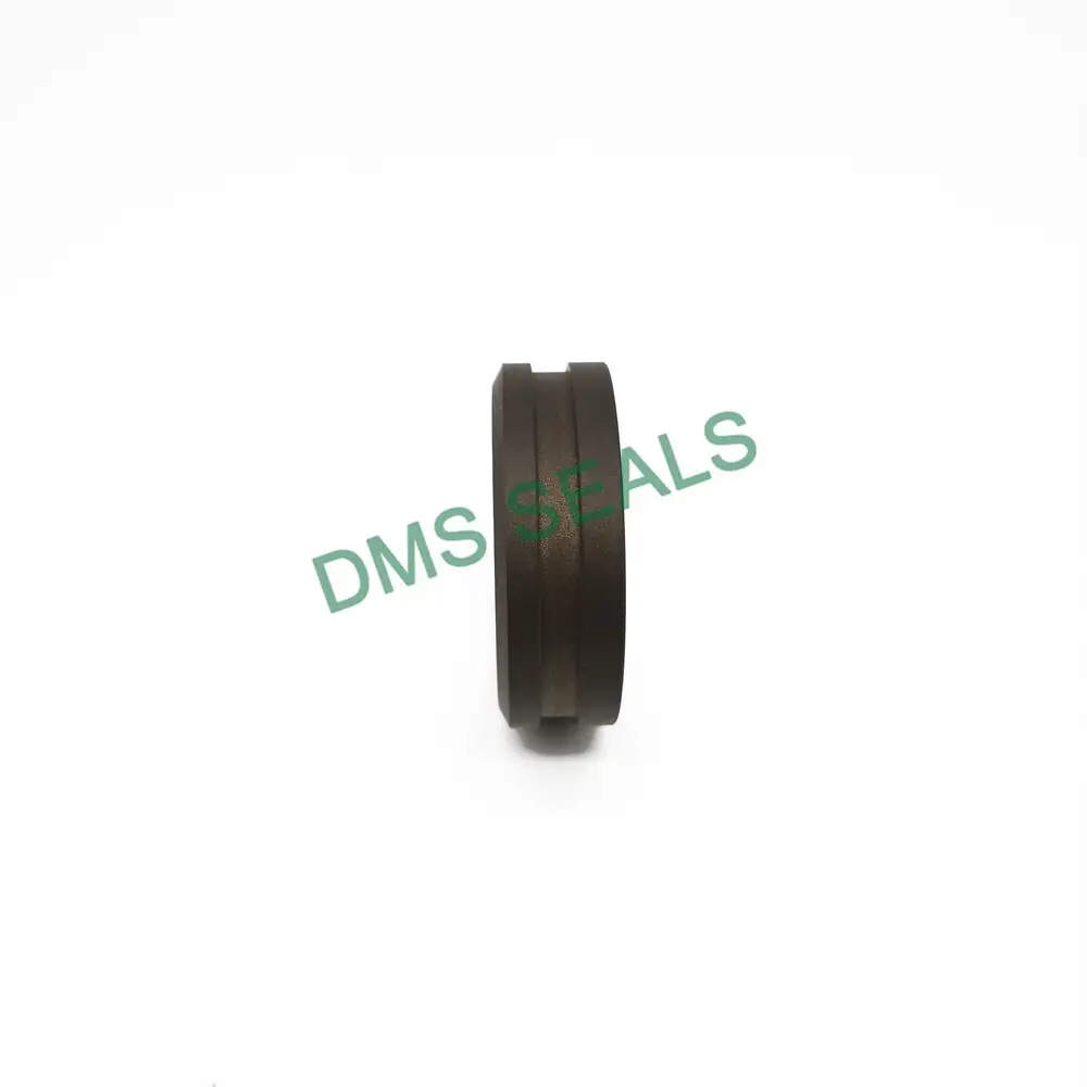 Dfai PTFE Seal Ring Guide Ring with Scraping Lip for Shaft 1