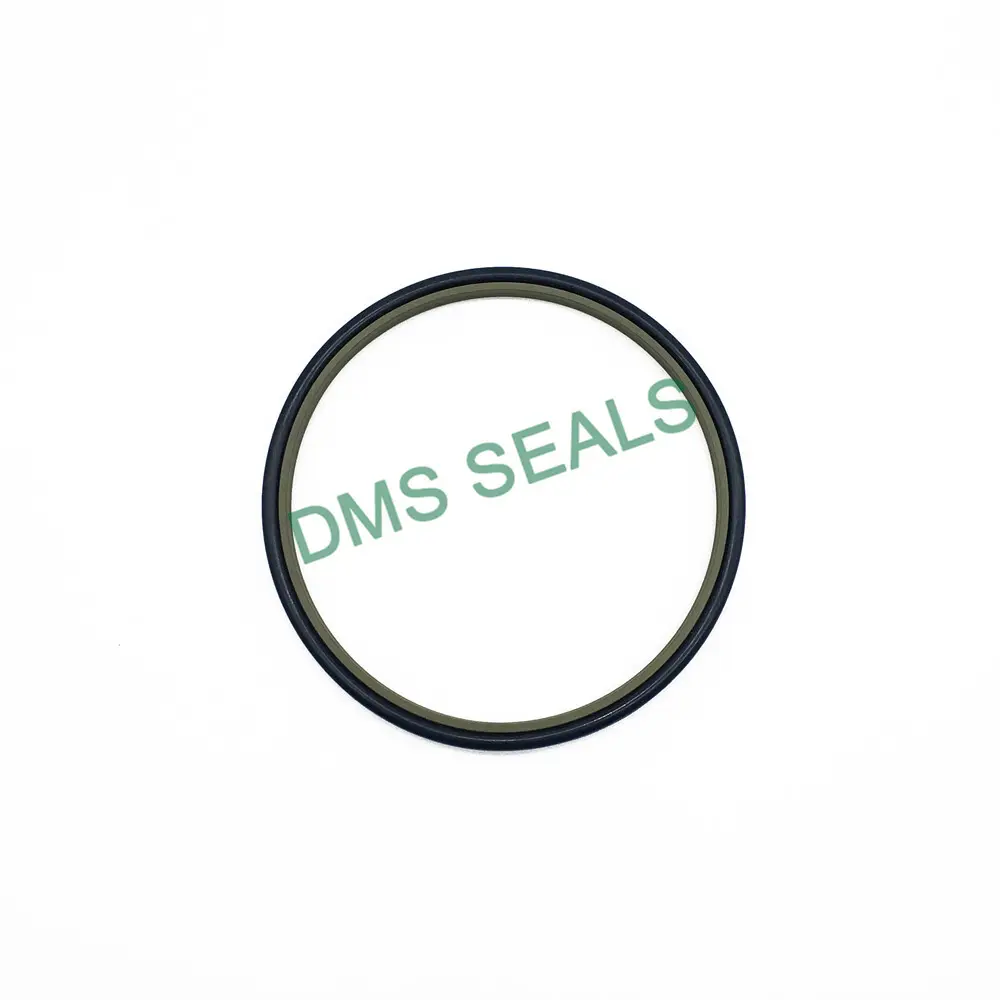 Hydraulic Wiper Seals 5 M/s Wholesale - DMS Seals 4