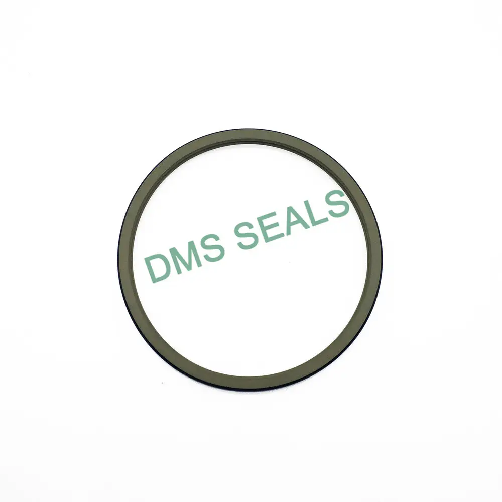 Hydraulic Wiper Seals 5 M/s Wholesale - DMS Seals 5