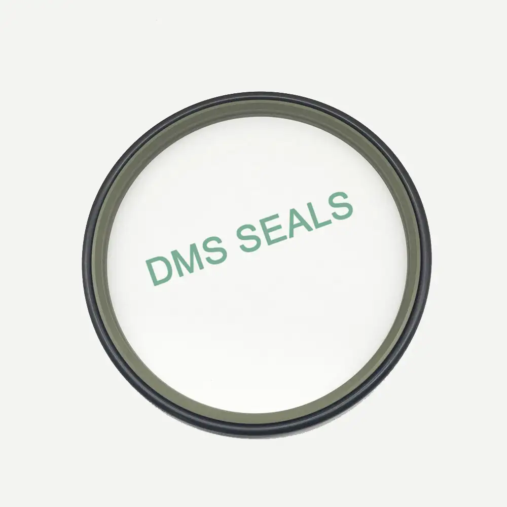 China Manufacture Filled PTFE Bronze Hydraulic Wiper Seal DPT2 1
