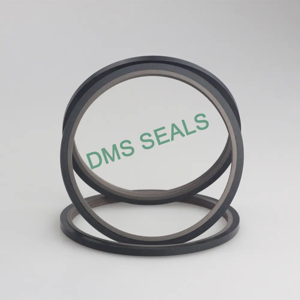 Custom Made Pneumatic Rod Seals Company 6
