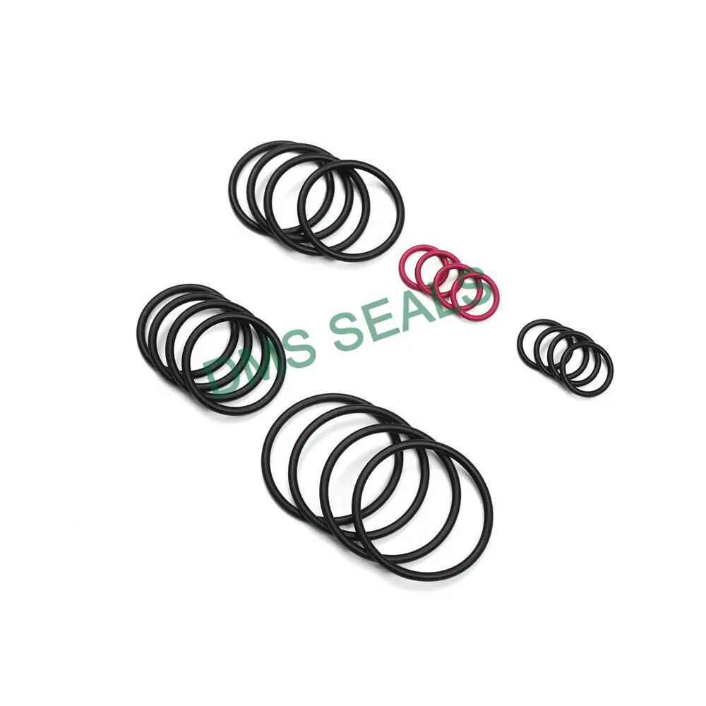 O-ring Set - - DMS Seals 4