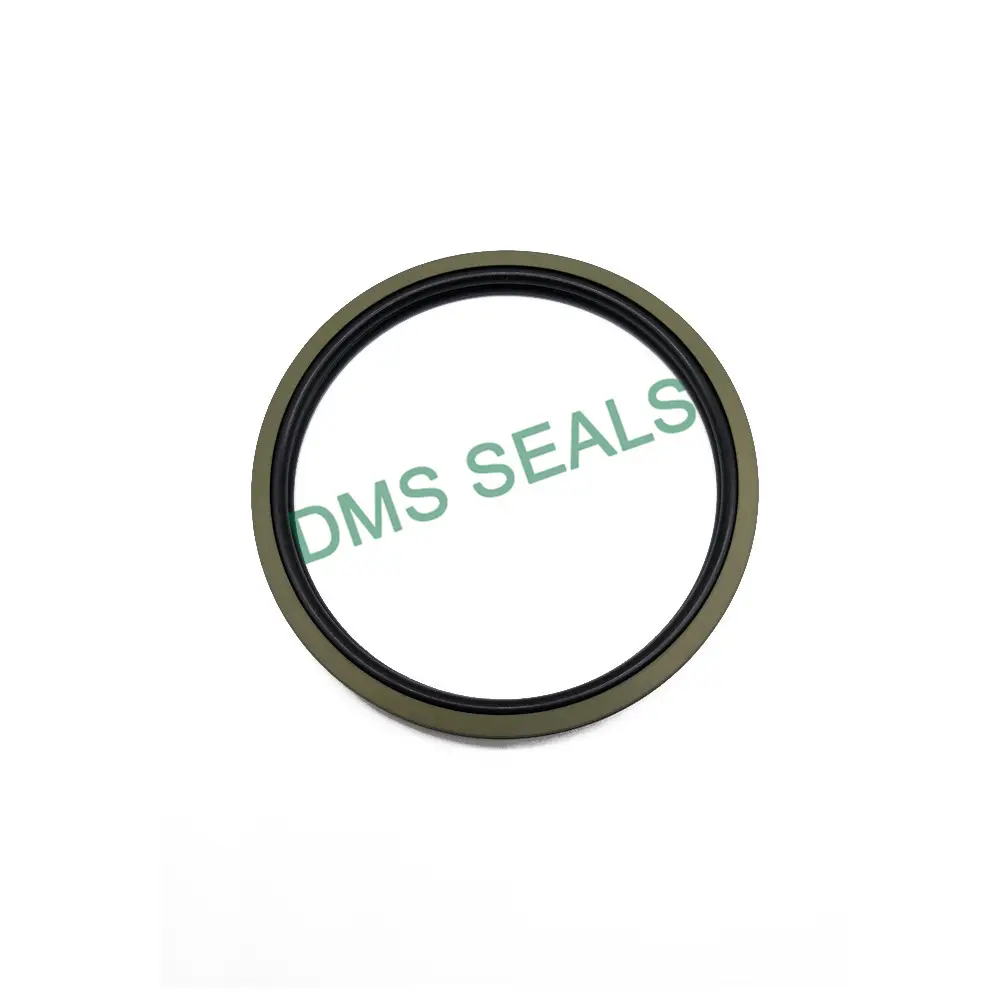 Wholesale Rubber Piston Seals for Sale 4