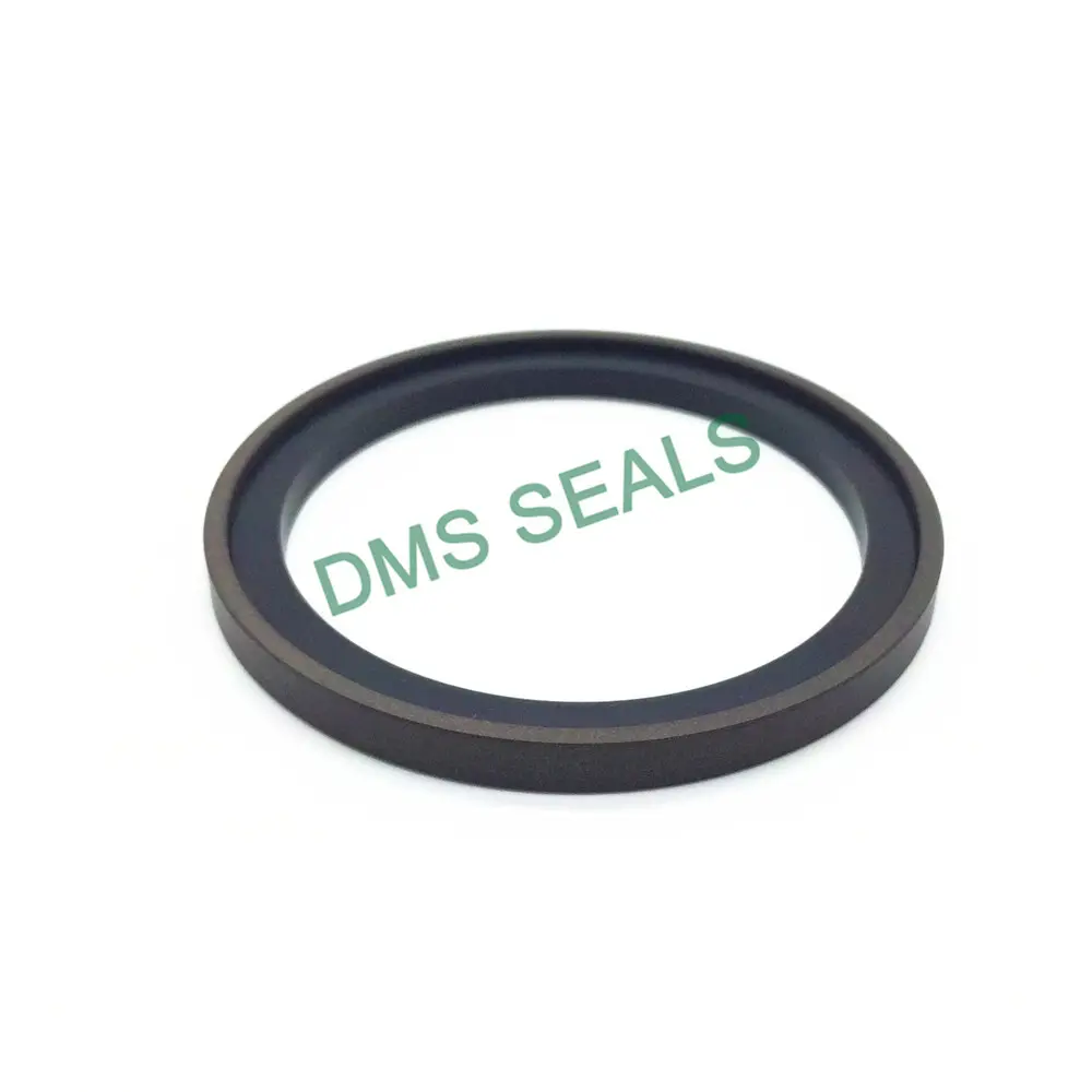 Hydraulic Piston Seals Sizes Gas by DMS Seals 2