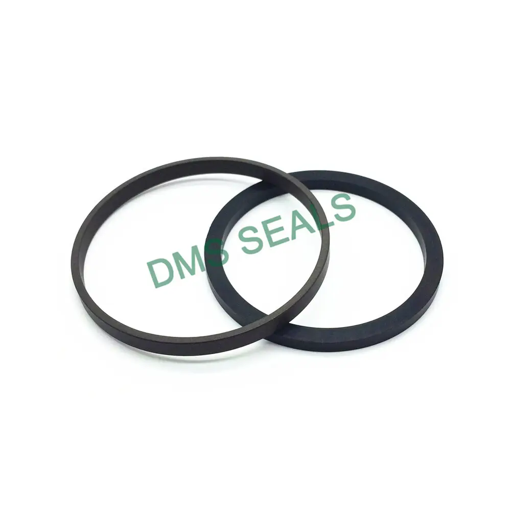Hydraulic Piston Seals Sizes Gas by DMS Seals 5