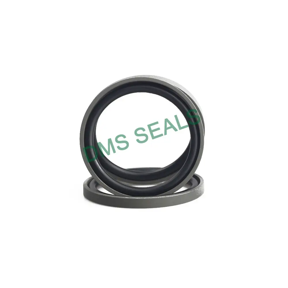 Hydraulic Cylinder Piston Seals Top Brand 0-35MPa 4