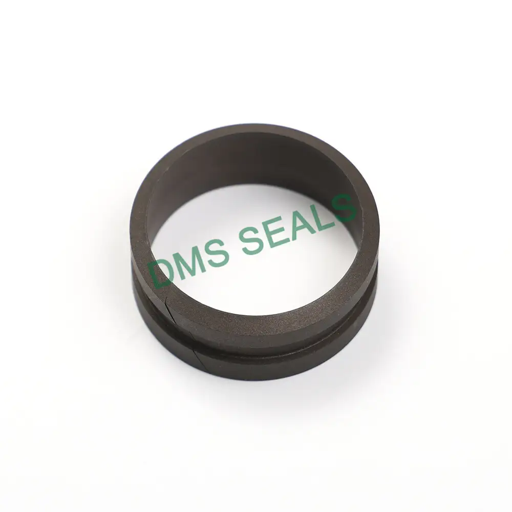 Shaft Guide Ring Dfi Seal Ring PTFE Rod Guide Seal 1