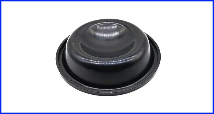 DMS Seals natural rubber seal factory for leakage gap 3
