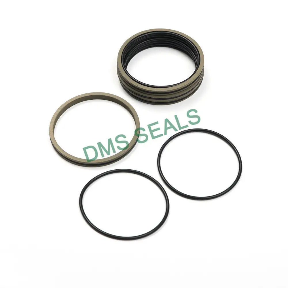 Piston Compressor Seal Daq2 Star Double O-Ring Accumulator Seal1 1