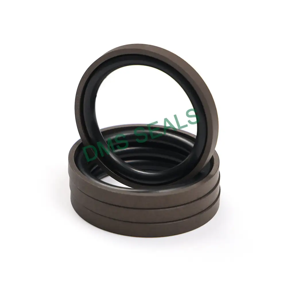 Japanese Glyd Ring Dpo Heavy-Duty Two-Way Piston Seal 1