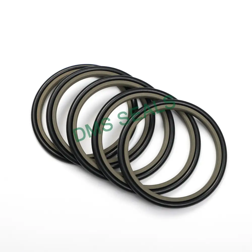 Piston Rod Seal Square Ring for Shaft Gsi Reverse Glyd Ring 1