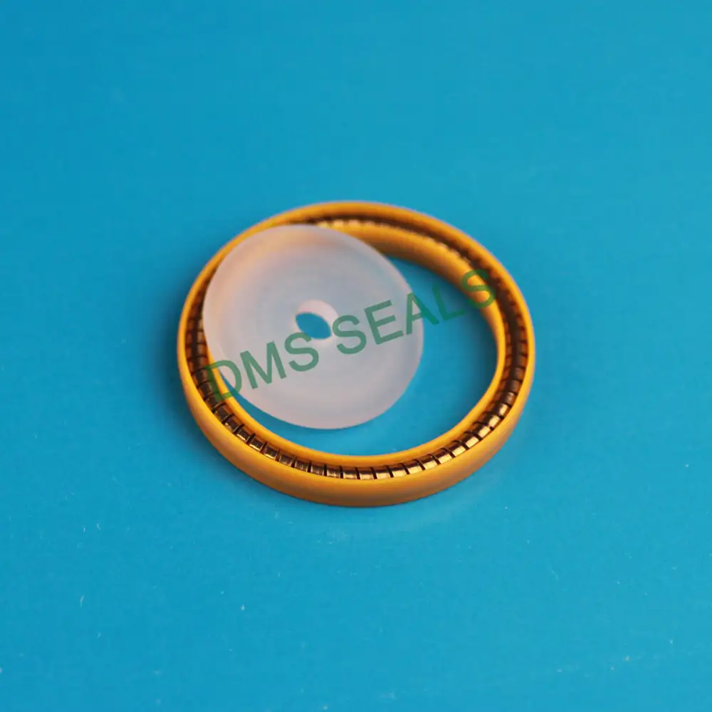 DMS LNG return air gun sealing ring liquefied natural gas refueling and liquid gun accessories 1