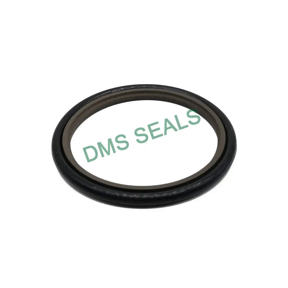 Latest Pneumatic Rod Seals 7