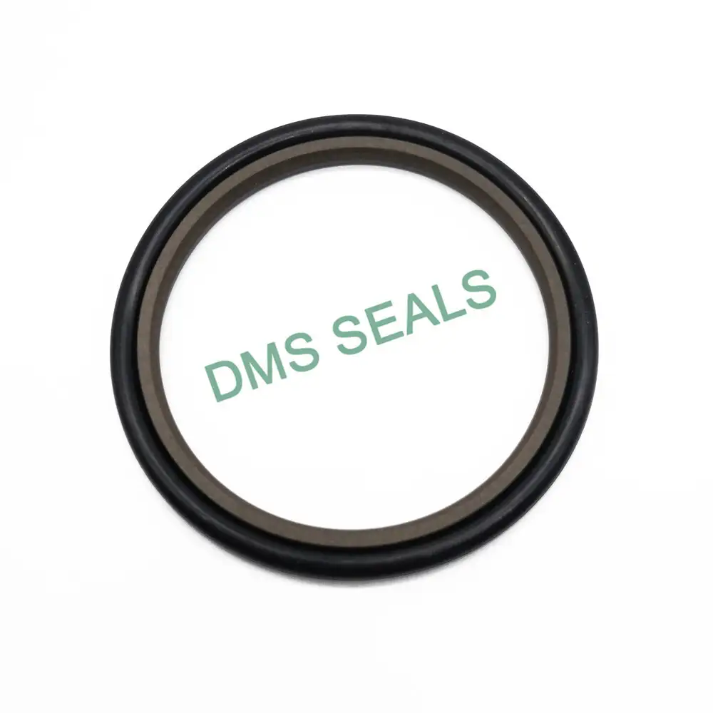 Mechanical Heavy Duty Opposite Step Seal Gsj 1