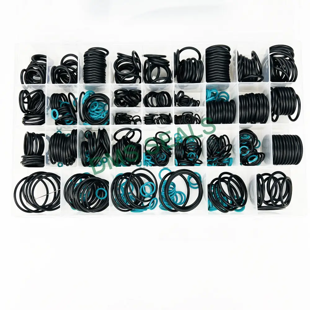 DMS Seals O Ring Set Factory 3