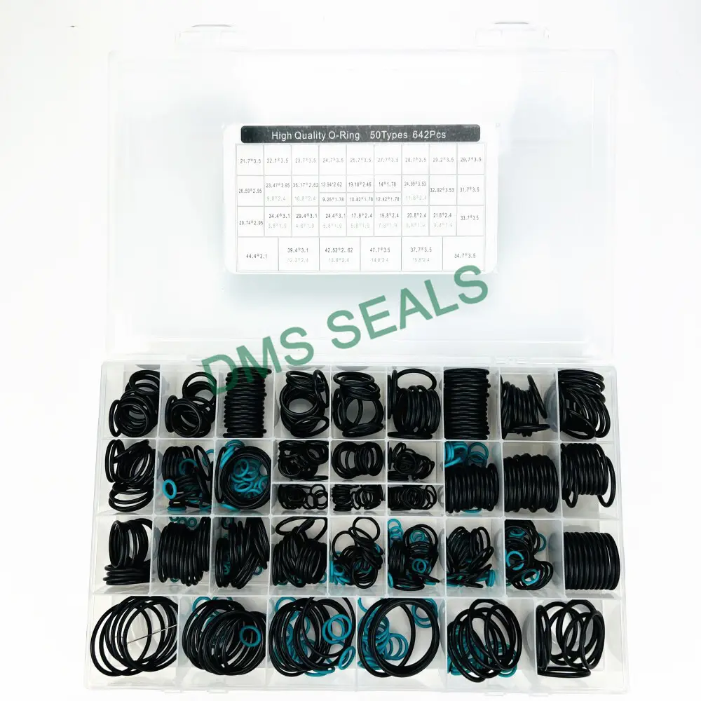 DMS Seals O Ring Set Factory 2