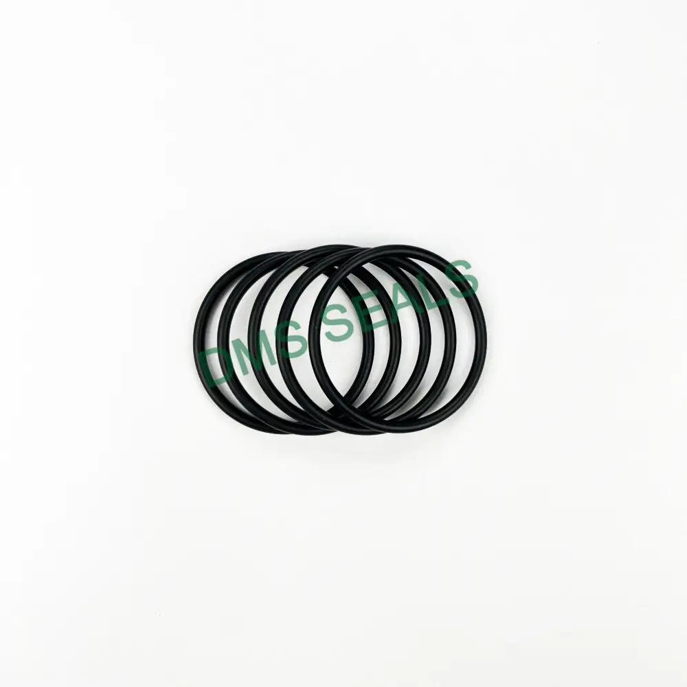 DMS Seals O Ring Set Factory 5