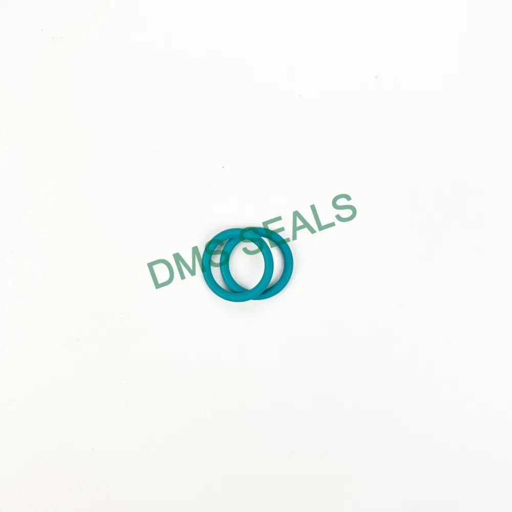 DMS Seals O Ring Set Factory 6
