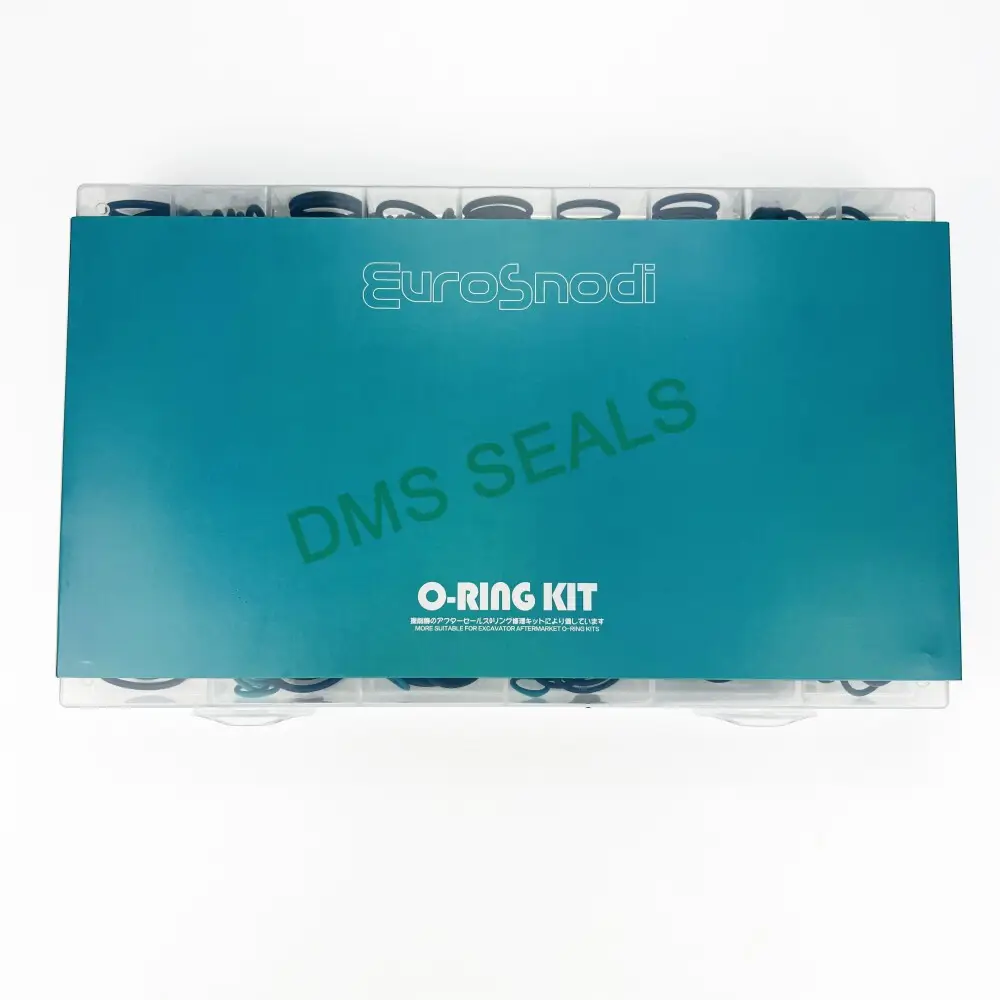 DMS Seals O Ring Set Factory 4