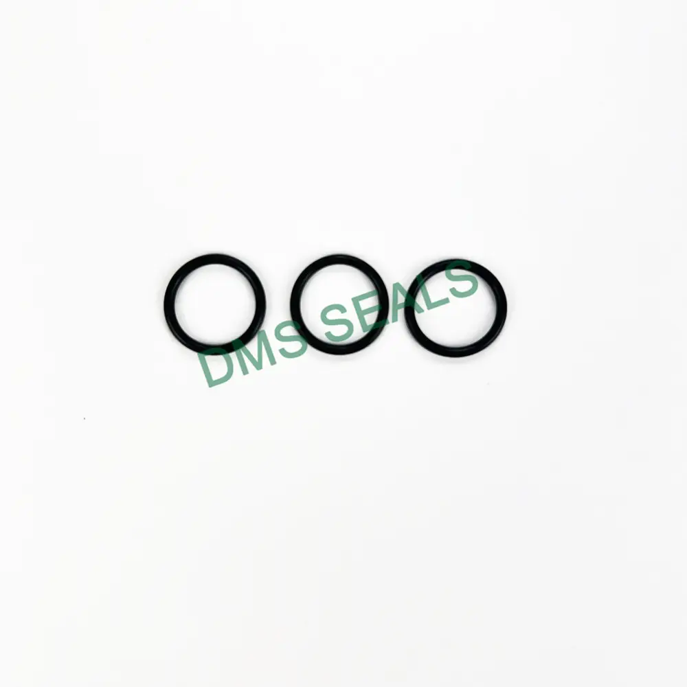 DMS Seals O Ring Seal Kit O Ring Seal KitFor Sale 7