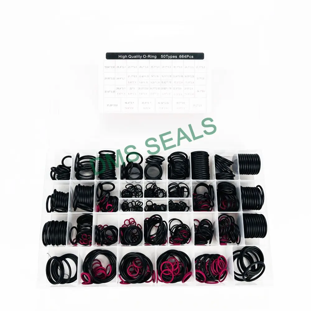 DMS Seals O Ring Seal Kit O Ring Seal KitFor Sale 3