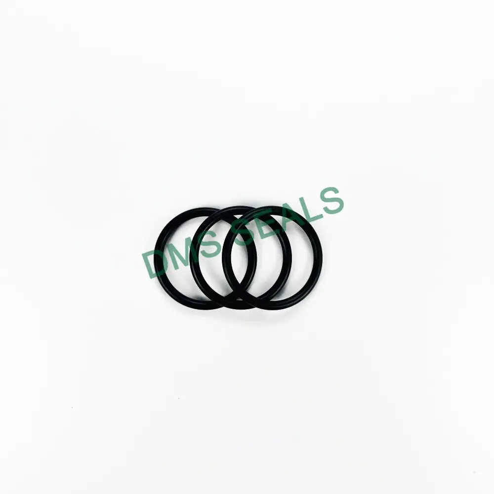 DMS Seals O Ring Seal Kit O Ring Seal KitFor Sale 5