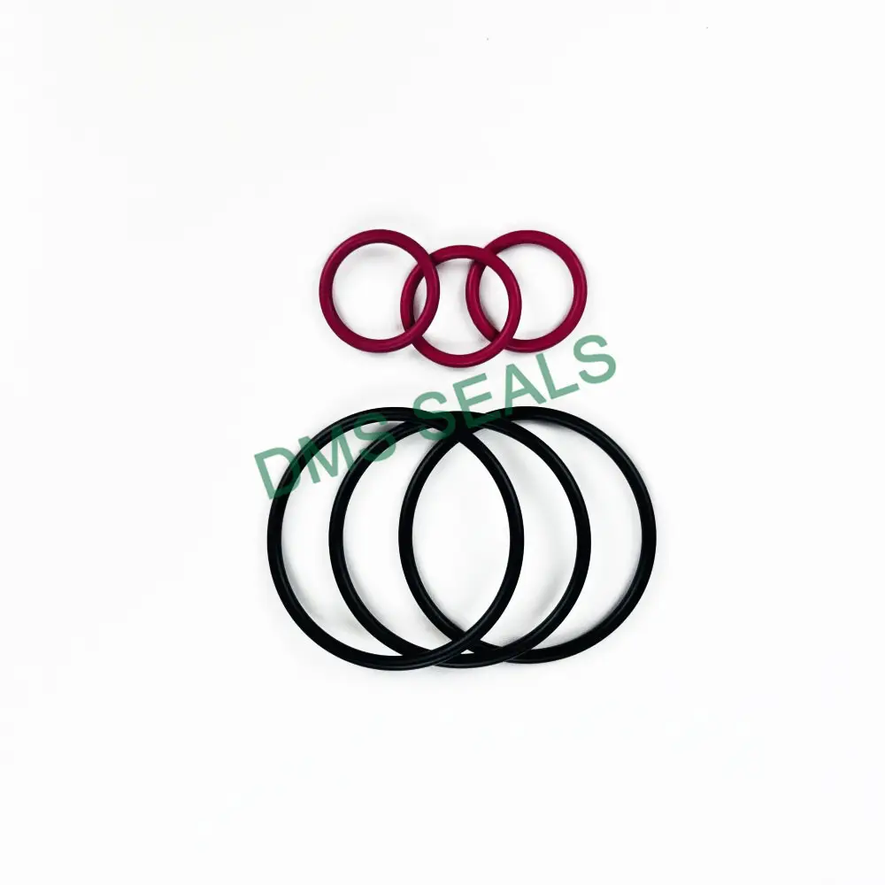 DMS Seals O Ring Seal Kit O Ring Seal KitFor Sale 4