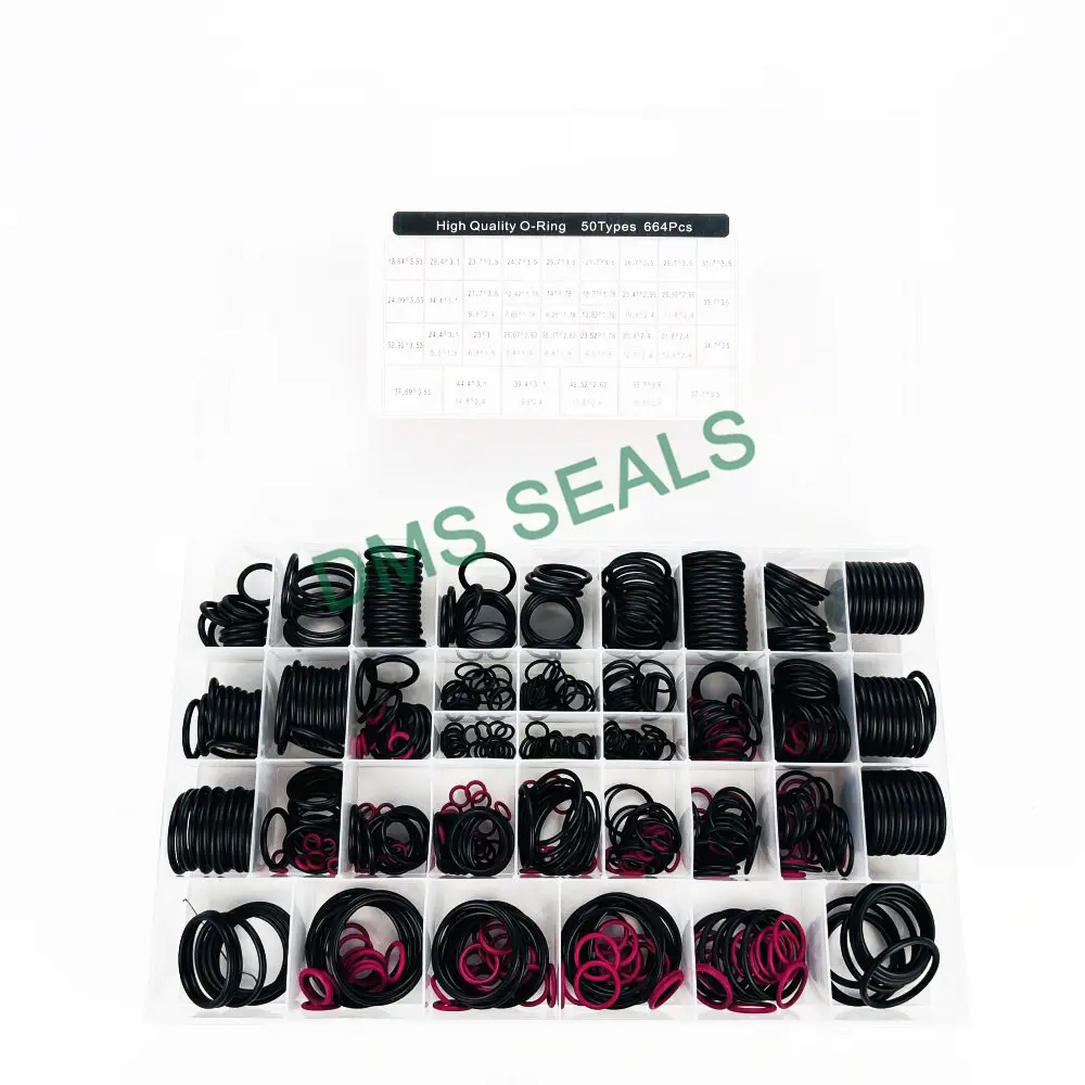 DMS Seals O Ring Seal Kit O Ring Seal KitFor Sale 10
