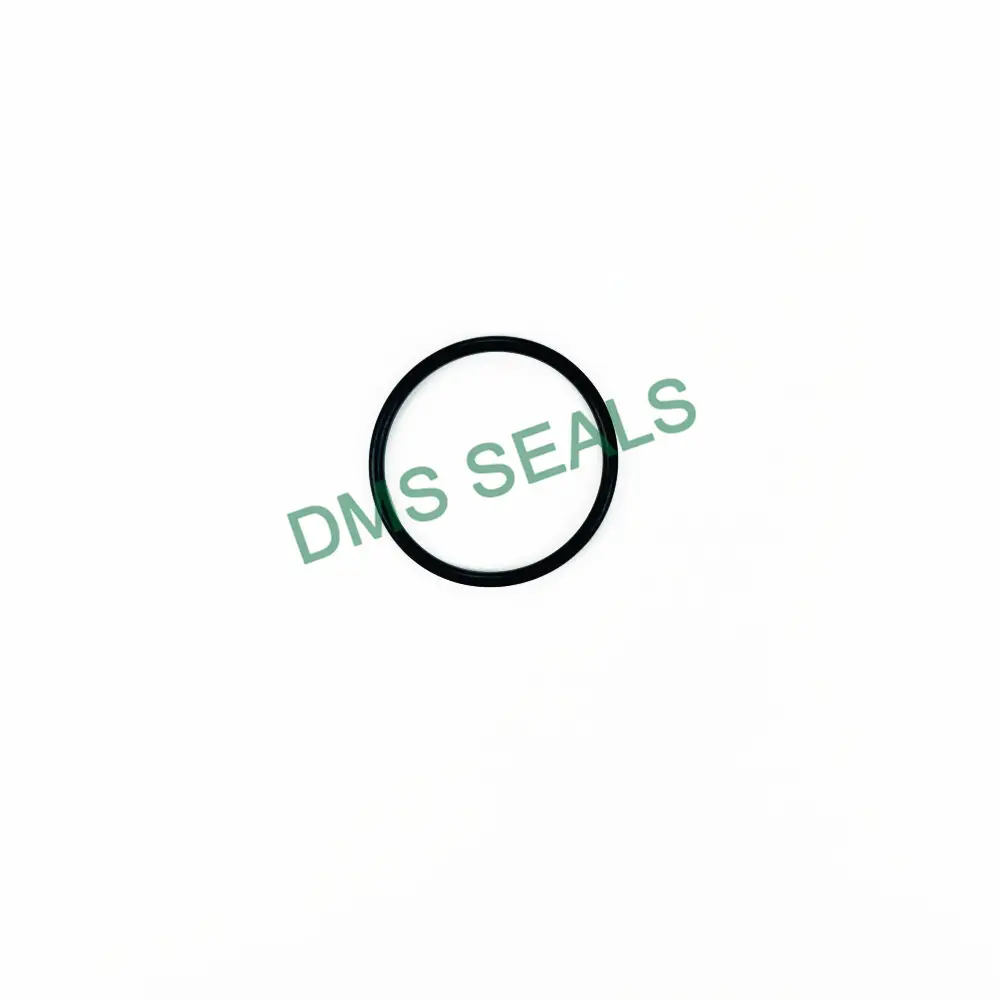 DMS Seals Rubber O Ring Kit Rubber O Ring Kitfactory Direct Supply 7