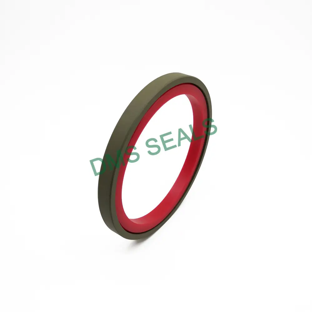 DMS Seals Hydraulic Cylinder Piston Seal Types Supplier 2