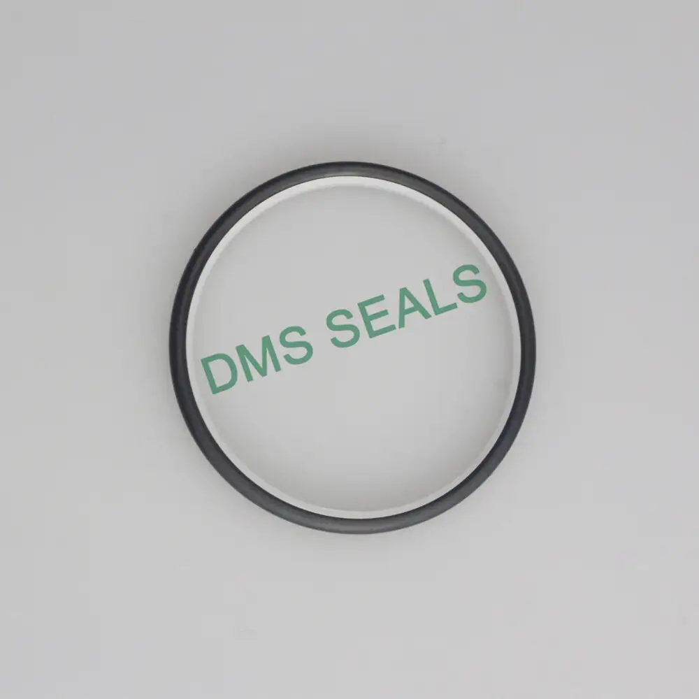 Slipper Seal Spnc Special-Shaped Ring Double Triangle Seal 1