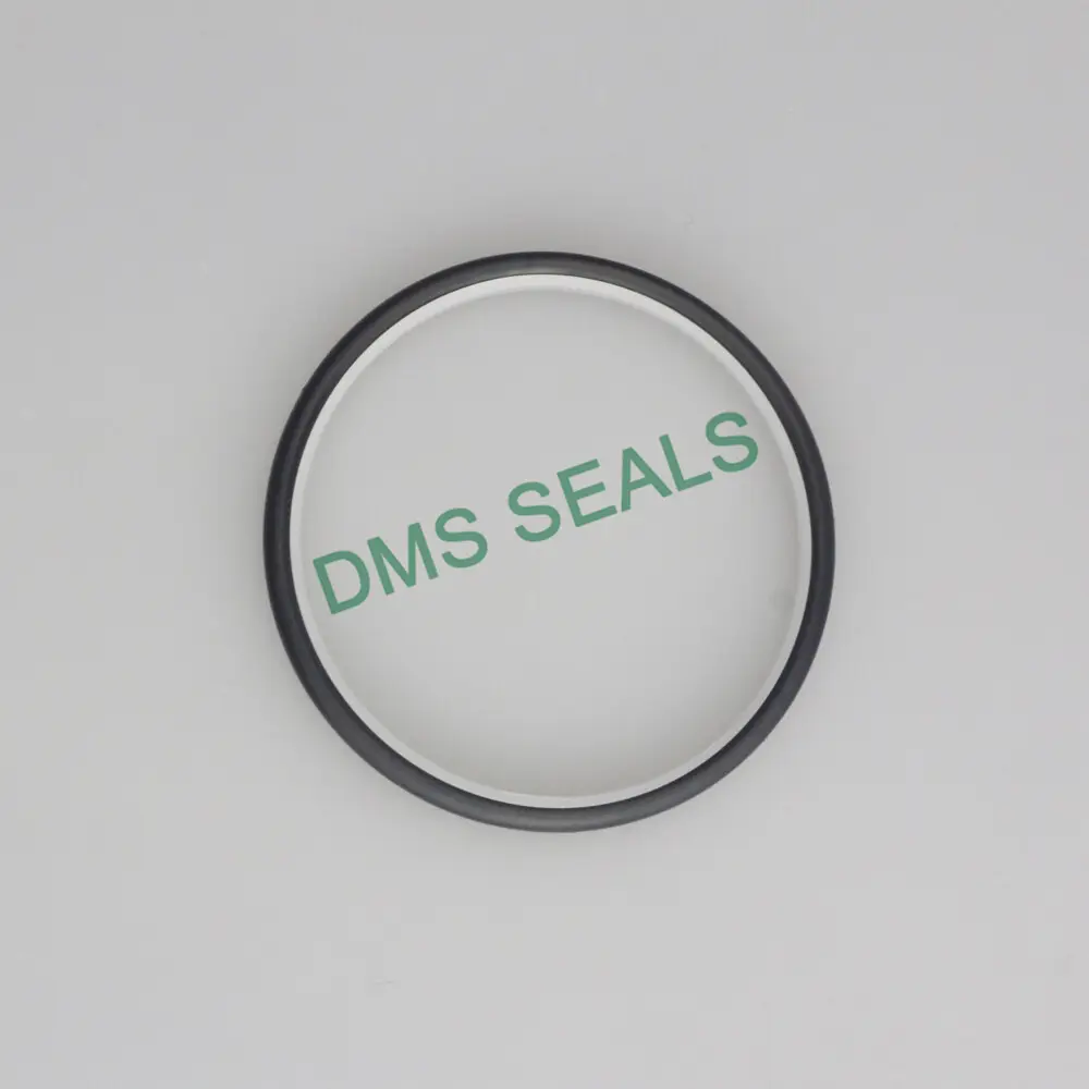 Hot Sale Push Rod Seal Factory 4