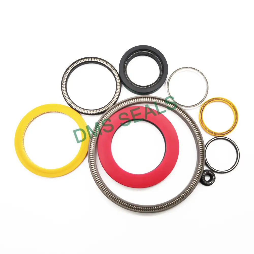 FSR-V Variseal for shaft With V-shaped spring 1